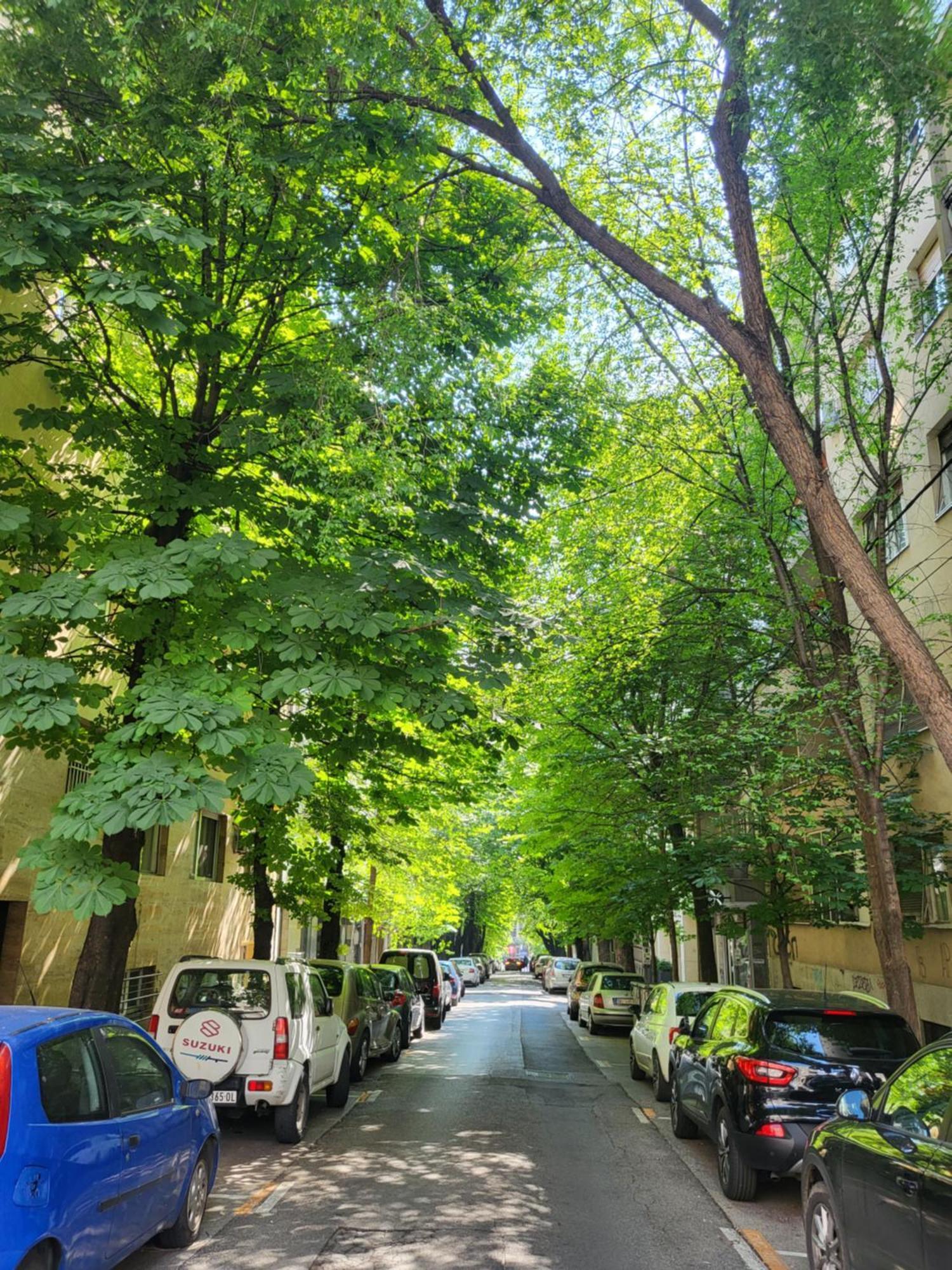Slavija Lux 2 Bedroom Center 公寓